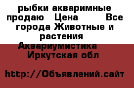 рыбки акваримные продаю › Цена ­ 30 - Все города Животные и растения » Аквариумистика   . Иркутская обл.